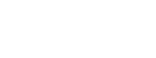 The Faces Of The Hilton Head Area